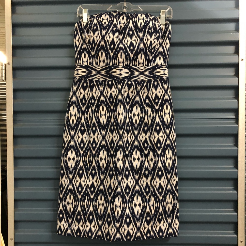 NWT Banana Republic Blue Ikat Dress (Sz 4)